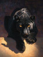 Canvas Fit - Alberto Ricardo - El sigilo de la sombra:, Nieuw