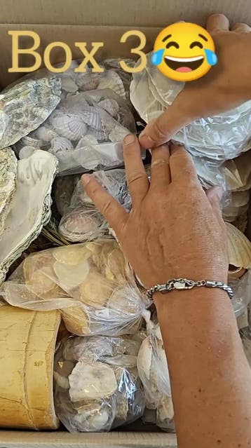 SUMMER Mysterybox 3 Bekijk video voor inhoud, Ophalen of Verzenden, Nieuw