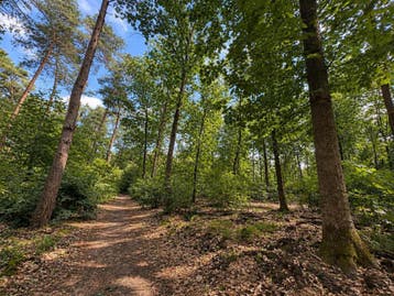 Te koop  perceel Bosgrond 3.660 m² Beekbergen, Beekbergen, 1500 m² of meer