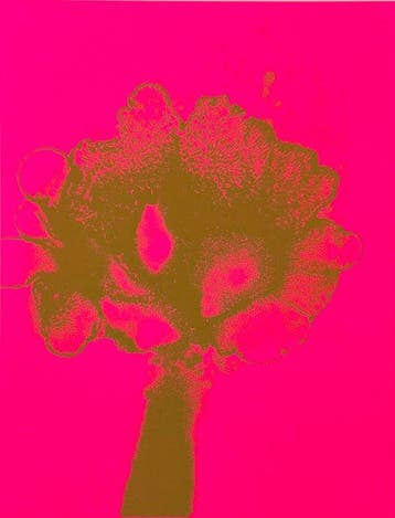 Otto Piene (1928-2014) - Feuerflora - ZERO Artist, Antiek en Kunst