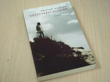 Hughes, T. - Geestverschijning, Boeken, Romans, Verzenden, Nieuw