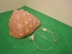 Murano - Carlo Nason - Lamp - Muranoglas - Shell volgens