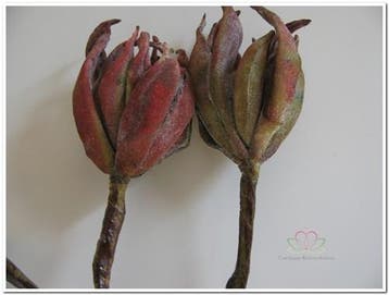 Magnolia Rusty Groen Foam Zijdenbloem x8 70 cm, Huis en Inrichting, Woonaccessoires | Kunstplanten en Kunstbloemen, Ophalen of Verzenden