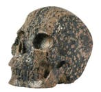 Bruine sneeuwvlok-obsidiaanschedel Gesneden schedel -