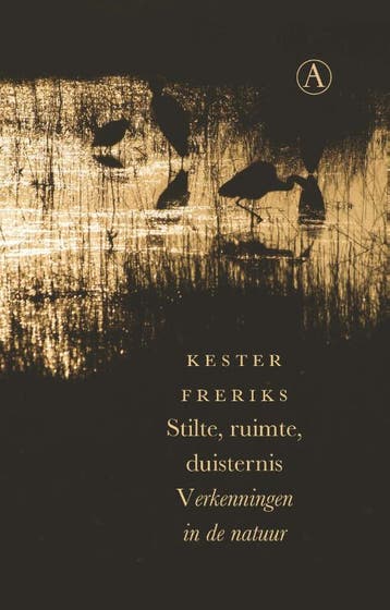 Stilte, ruimte, duisternis - Kester Freriks 9789025308568, Verzenden, Gelezen, Kester Freriks