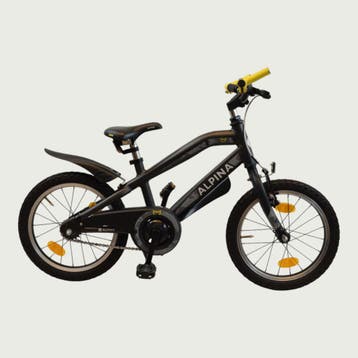 Alpina kinderfiets 16 inch, Ophalen of Verzenden, Gebruikt, Alpina