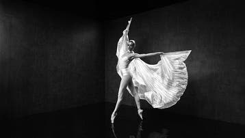 Viktoria Farkas - Wings of Light - Premium Canvas - Unframed