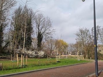 Te huur: Huis Koningin Maximalaan in Hoofddorp, Hoofddorp, Noord-Holland