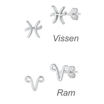 Zilveren mini sterrenbeeld oorstekers, Verzenden, Nieuw, Zilver