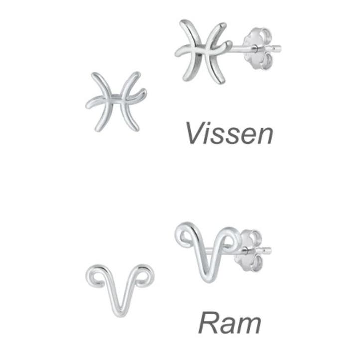 Zilveren mini sterrenbeeld oorstekers, Sieraden, Tassen en Uiterlijk, Oorbellen, Nieuw, Verzenden