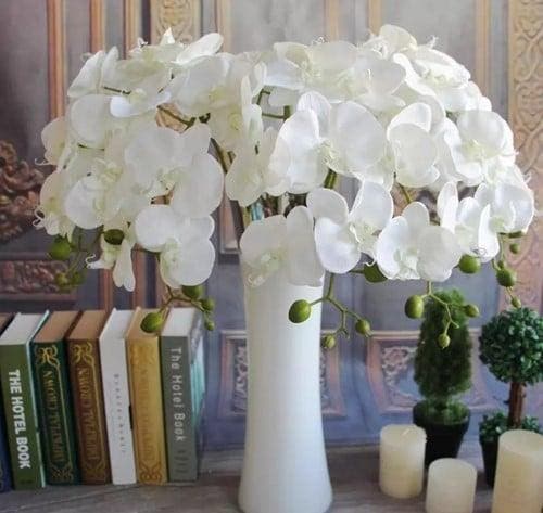 Phalaenopsis Orchidee Spray Ivory Zijden 77 cm, Hobby en Vrije tijd, Knutselen, Nieuw, Ophalen of Verzenden