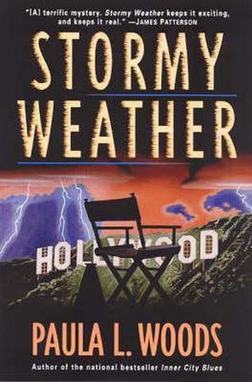 Stormy Weather - Paula L. Woods 9780345449085, Verzenden, Gelezen, Paula L. Woods
