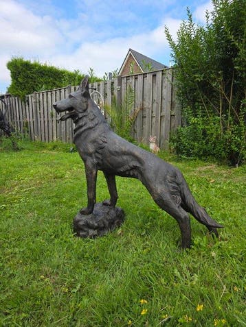 Beeld, Bronze: XL Shepherd Dog - 102 cm - Brons - 2026, Antiek en Kunst