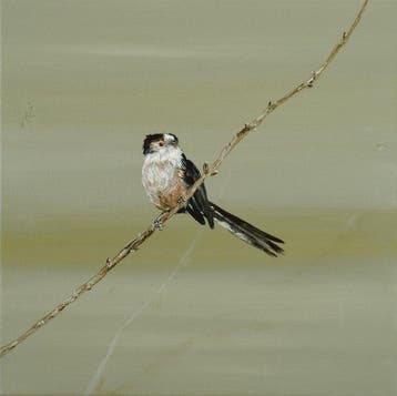 Matthieu van Riel - Staartmees