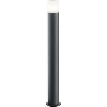 LED Tuinverlichting - Staand Buitenlamp - Trion Hosina XL -, Staande lamp, Nieuw, Ophalen of Verzenden, Led
