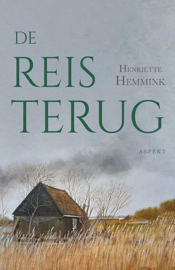 De reis terug - Henriëtte Hemmink 9789464249651, Boeken, Verzenden, Zo goed als nieuw, Henriëtte Hemmink