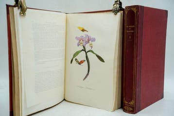 Collectif - Le Jardin des plantes. Description complète,, Antiek en Kunst