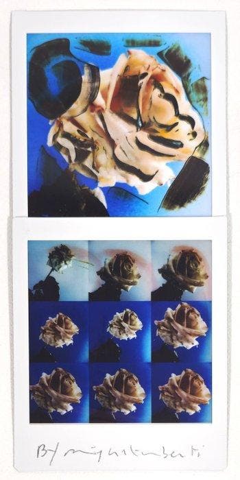 Maurizio Galimberti (1956–) - BiFlowers - 11461