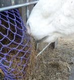 Zeer sterk visnet voor zelfbouw slowfeeders, Dieren en Toebehoren, Ophalen of Verzenden, Nieuw