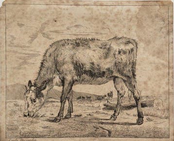 Du Jardin Karel (1622 Ca./ 1678) - Grazing Calf, Antiek en Kunst