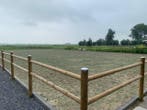 Direct leverbaar – Complete paardenbak 40x20 m | Scherp gepr, Weidegang