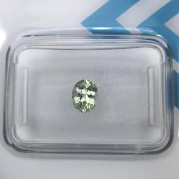Zonder minimumprijs - 1 pcs Groen, Bruin, Paars Alexandriet, Nieuw