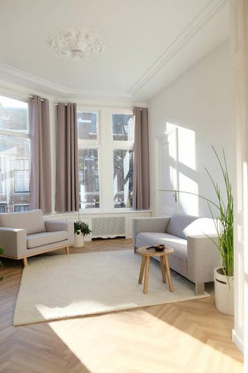 Te huur: Appartement 2e Sweelinckstraat in Den Haag, Den Haag, Appartement, Zuid-Holland