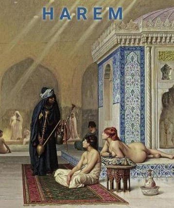 Art Periods & Movements Flexi- Harem - Valentine Gallet, Verzenden, Gelezen, Valentine Gallet