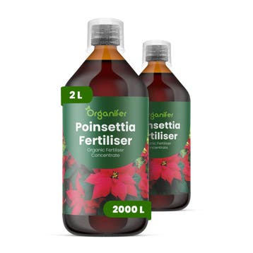 Kerstster Vloeibare meststof - Set 2x1 liter, Verzenden, Mest