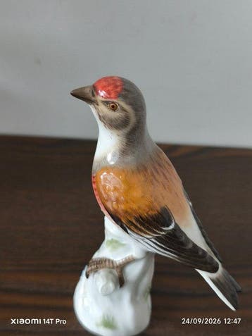 Meissen - Figuur - Linnet - Porselein
