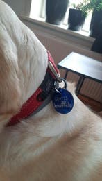 Grappige hondenpenning - Gratis knuffels, Verzenden, Handgemaakt, Nieuw