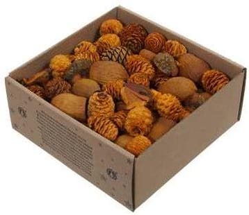 Leucodendron assortiment Oranje Goud wash 640 gram, Ophalen of Verzenden, Nieuw
