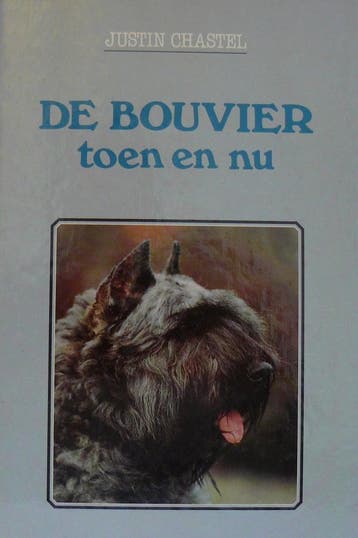 BOUVIER TOEN EN NU - Chastel 9789051120141, Verzenden, Gelezen, Chastel