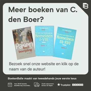 WAARHEEN PELGRIMS? - C. den Boer 9789033605574, Boeken, Verzenden, Zo goed als nieuw, C. den Boer