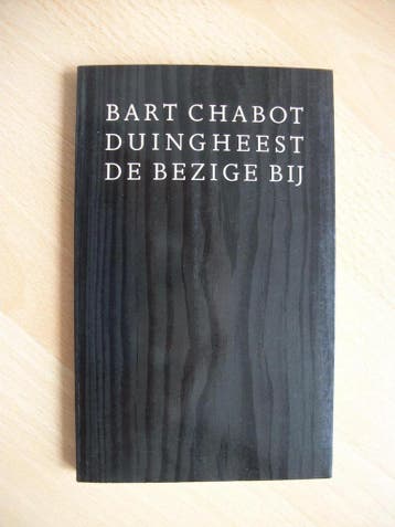 Duingheest - Chabot 9789023431671, Verzenden, Gelezen, Chabot