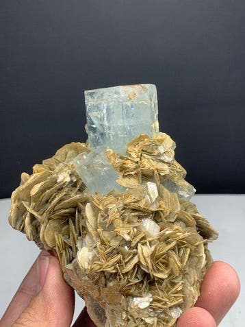 Aquamarine Crystal op Muscoviet Matrix Exemplaar - Hoogte: