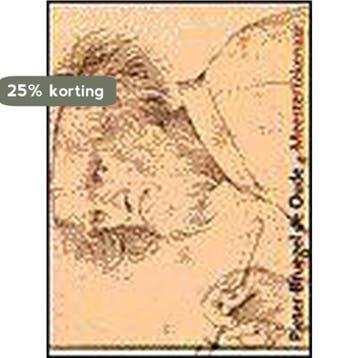 Pieter Bruegel de Oude, Meestertekenaar 9789056622138, Boeken, Kunst en Cultuur | Beeldend, Verzenden, Zo goed als nieuw