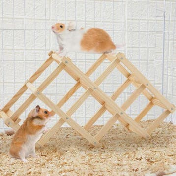 Houten Klimspeelgoed voor Hamsters en Kleine Dieren - Natuur, Verzenden, Nieuw