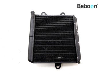 Radiateur Aprilia Climber 280, Verzenden, Gebruikt