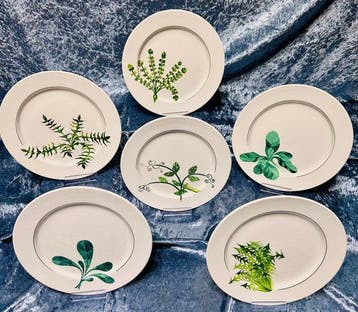 Villeroy & Boch - Bord (6) - Porselein - Villeroy & Boch