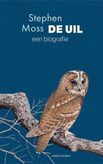 De uil - Stephen Moss - 9789026368165, Nieuw, Ophalen of Verzenden, Stephen Moss, Nederland