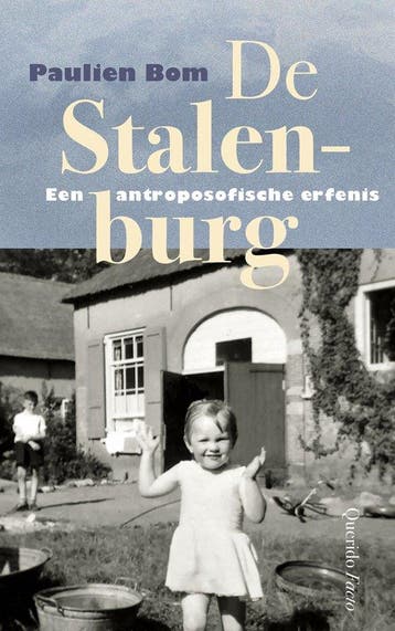 9789025317720 De Stalenburg | Tweedehands, Boeken, Verzenden, Zo goed als nieuw, Paulien Bom