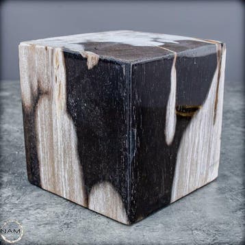 Versteend hout kubus – natuurkunst uit miljoenen jaren