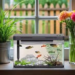 Mini aquarium starterkit – Desktop acryl aquarium met filter, Dieren en Toebehoren, Verzenden, Nieuw