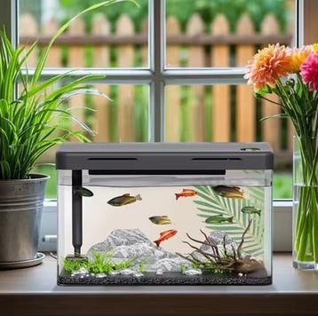 Mini aquarium starterkit – Desktop acryl aquarium met filter, Verzenden, Nieuw