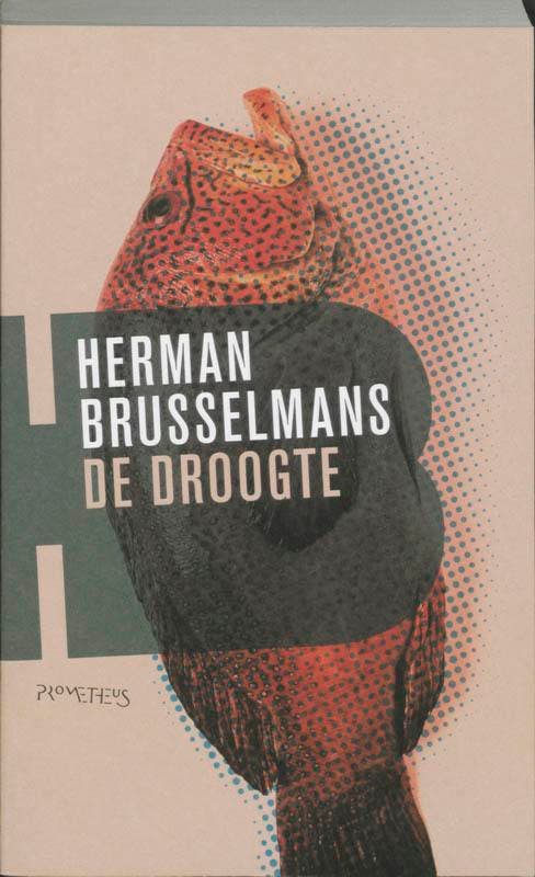 De droogte 9789044611830 Herman Brusselmans, Boeken, Romans, Gelezen, Verzenden