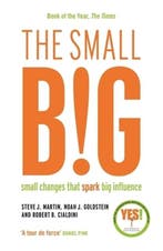 The small BIG | 9781781252758 | Steve J. Martin ; Noah, Zo goed als nieuw, Steve J. Martin ; Noah Goldstein ; Professor Robert B. Cialdini