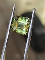 1 pcs Groen, Rood Alexandriet - 2.69 ct - International, Sieraden, Tassen en Uiterlijk, Nieuw