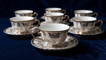 Richard Ginori - Theeservies (15) - Porselein