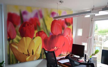 Akoestisch schilderij, met eigen afbeelding, Overige plaatsen, Ophalen of Verzenden, Nieuw in verpakking, Overige typen